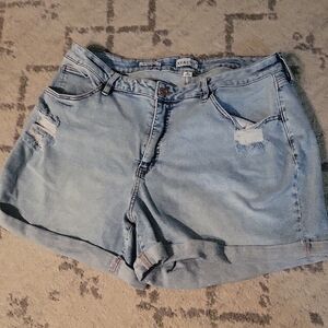 Ava & Viv Light Blue Women's Denim Shorts